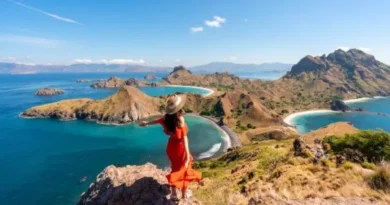 best travel insurance for parents visiting usa